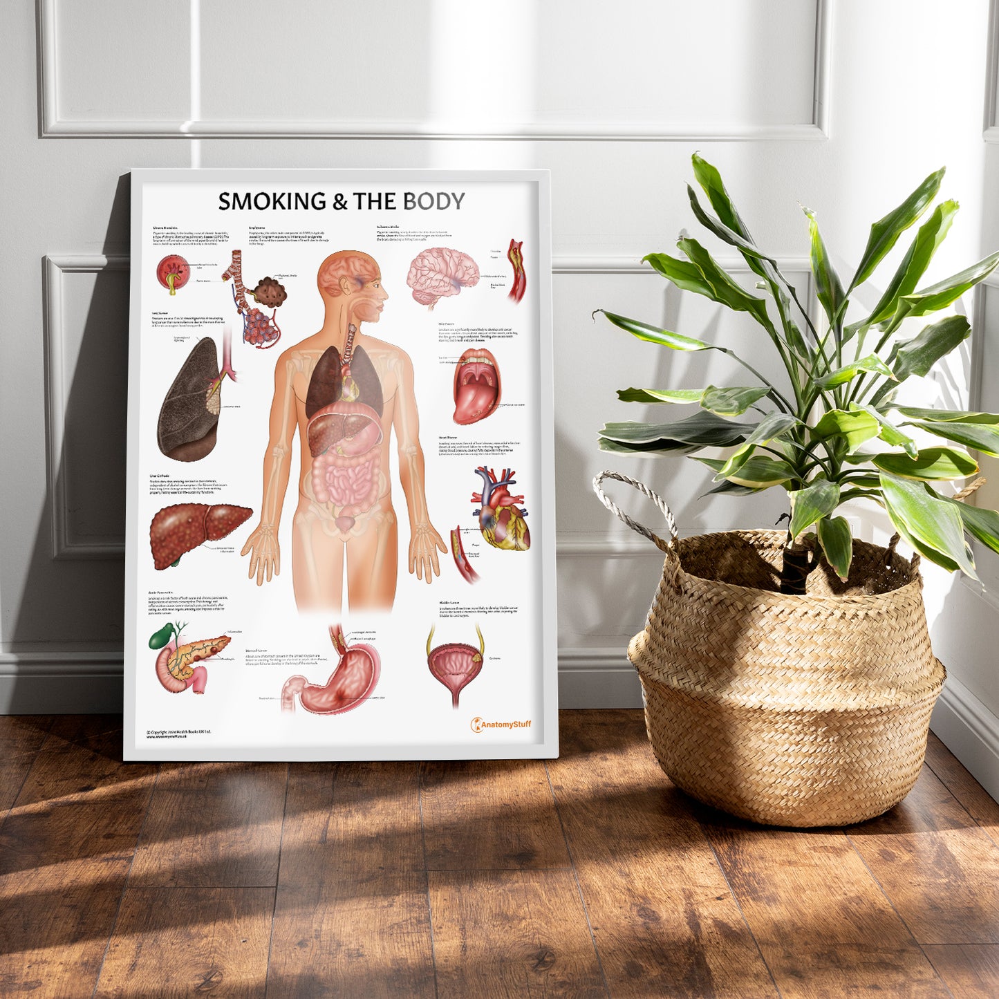 Smoking and The Body Chart / Poster